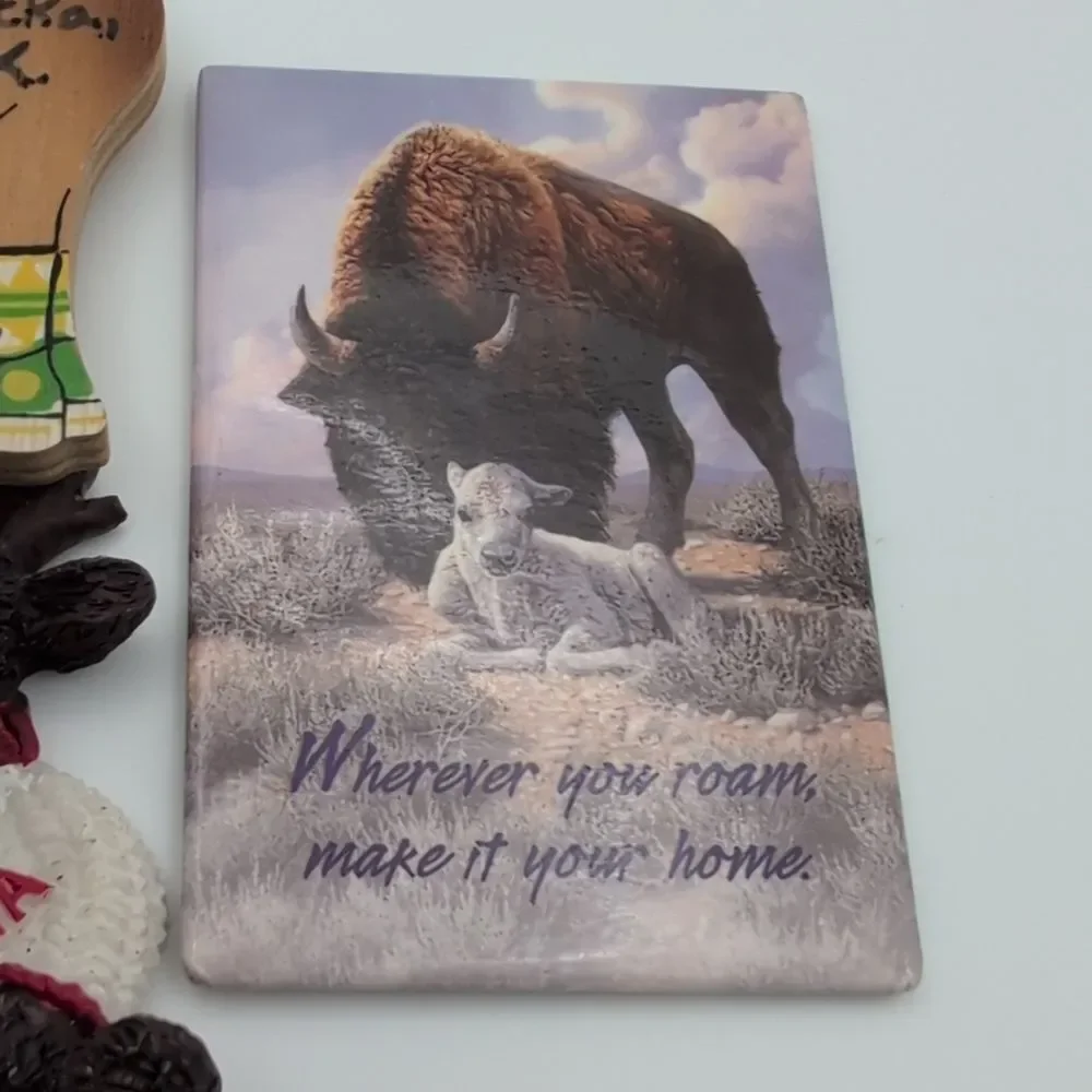 Vintage woodsy bear nature‎ buffalo magnets kitschy novelty